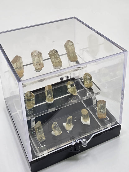 Bleacher Stands Large Clear