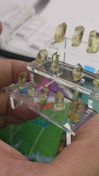 Bleacher Stands Large Clear