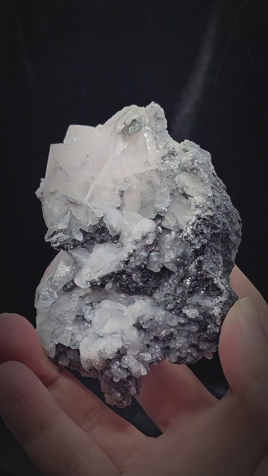 Star 023