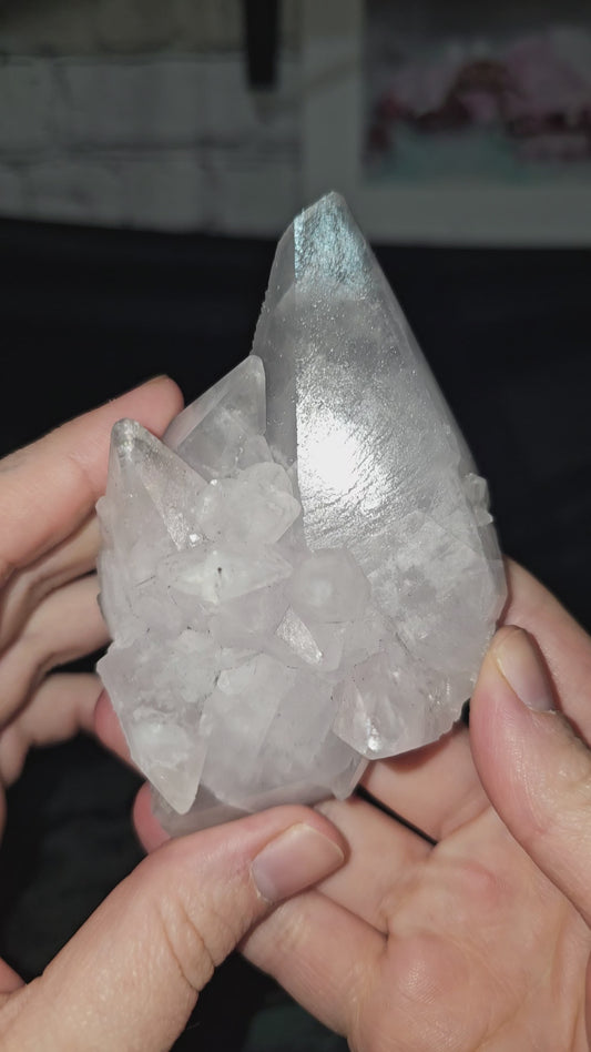 Star 084