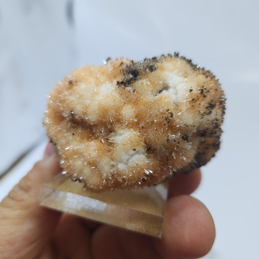 Creedite Navidad Mine, Mexico #4
