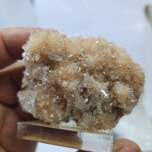 Creedite Navidad Mine #6