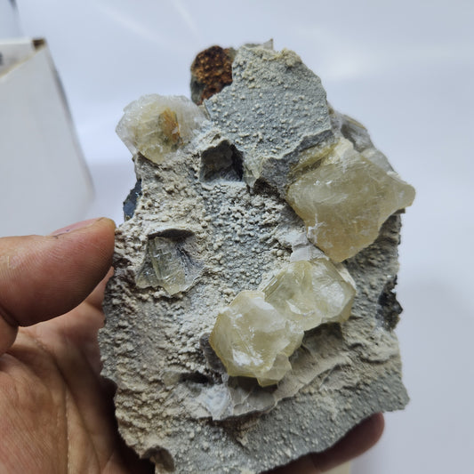 Calcite Marcasite Skip Colflesh